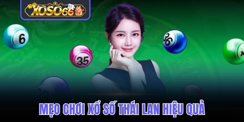 Mẹo chơi Lotto Thái hiệu quả hội viên có thể áp dụng 