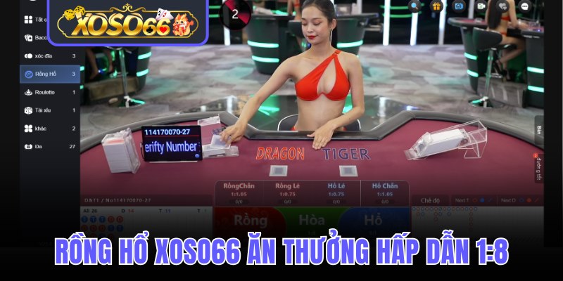 Rồng hổ Xoso66