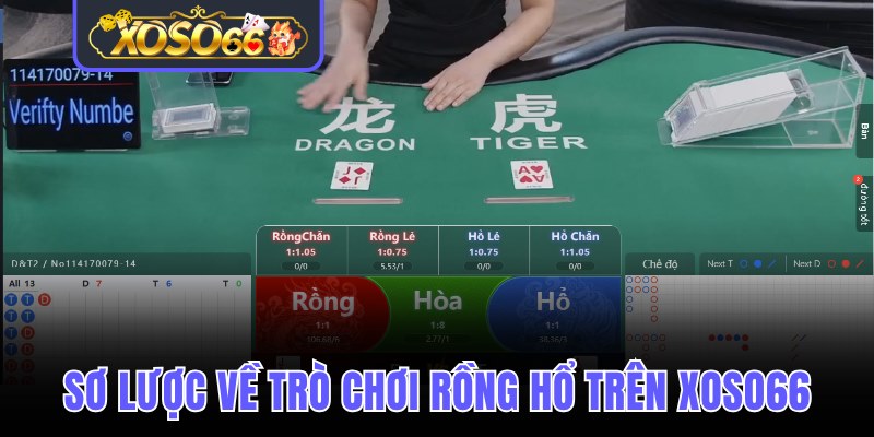 Sơ lược về trò chơi Dragon Tiger trực tuyến trên Xoso66